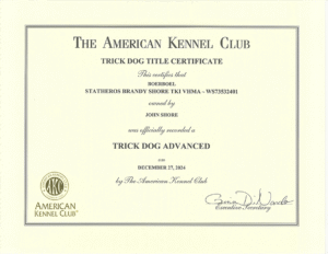 certificates-1