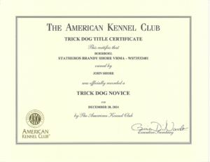 certificates-3