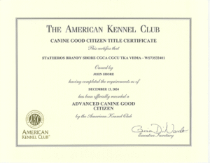 certificates-5