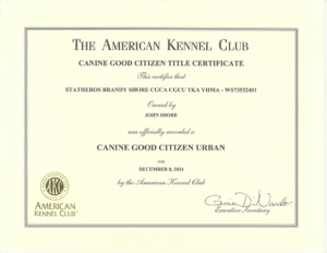 certificates-6
