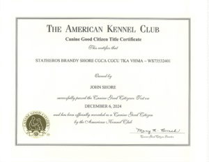 certificates-7