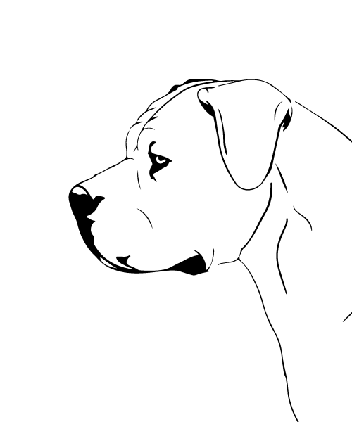 boer_sta_2